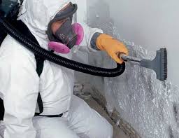 Best Air Quality Testing for Mold Spores in Romancoke, MD